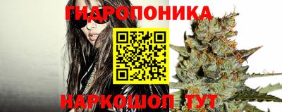 ALPHA PVP Канаш