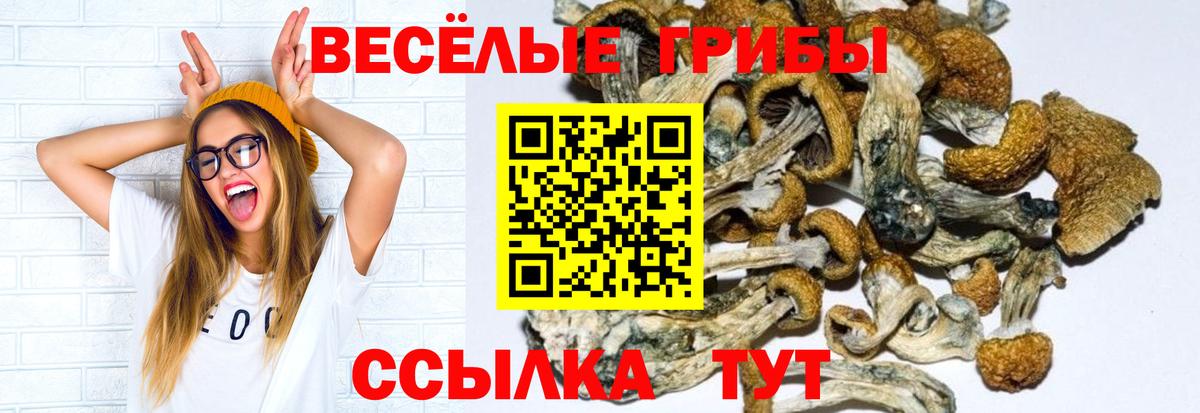магазин продажи   Галлюциногенные грибы мухоморы  Вход с VPN  Псилоцибиновые грибы Psilocybine cubensis  Кувандык 